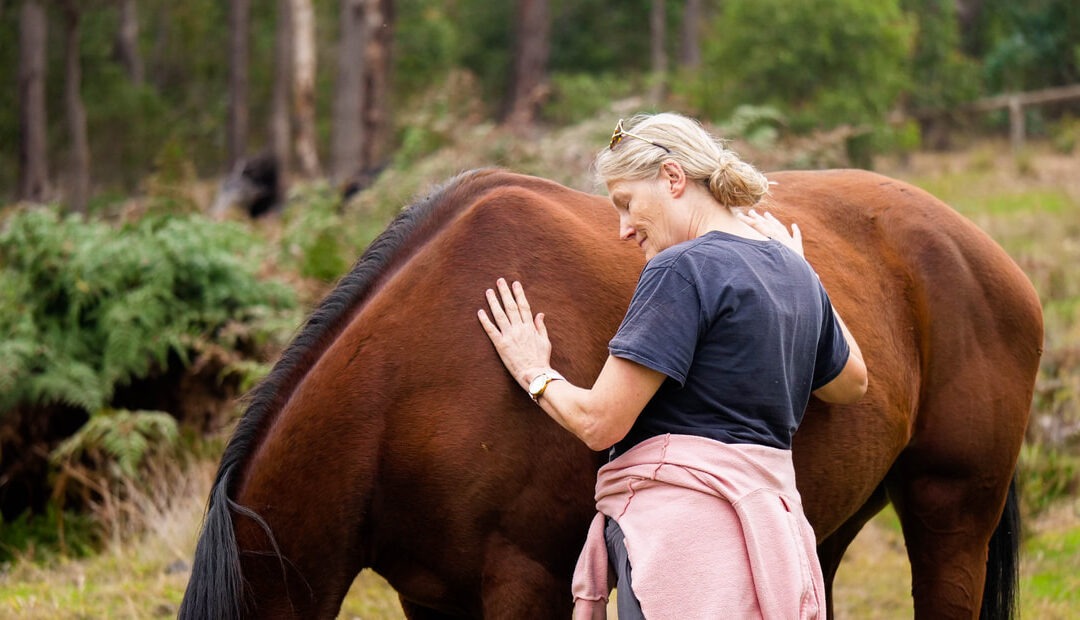 Love, Connect and Communicate ​With Yourself & Animals in Nannup, WA